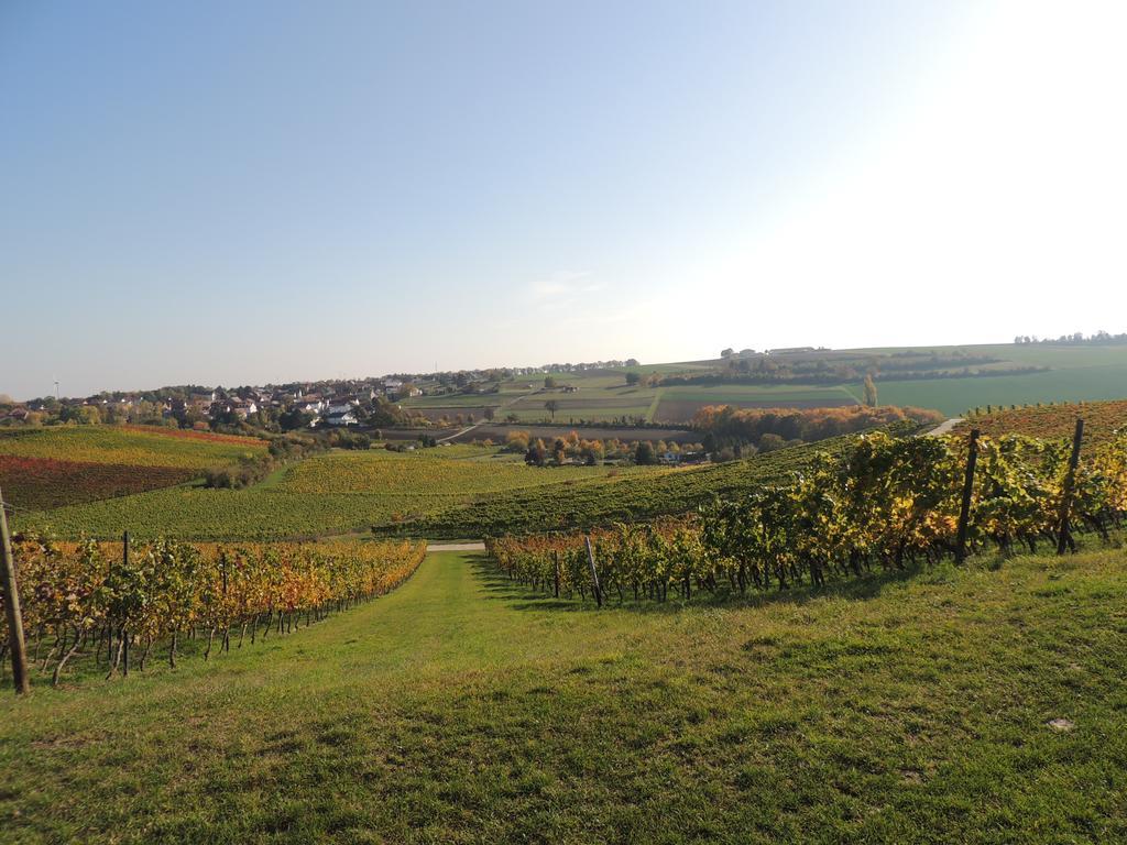 Weingut Seck Hotel Dolgesheim Exterior foto